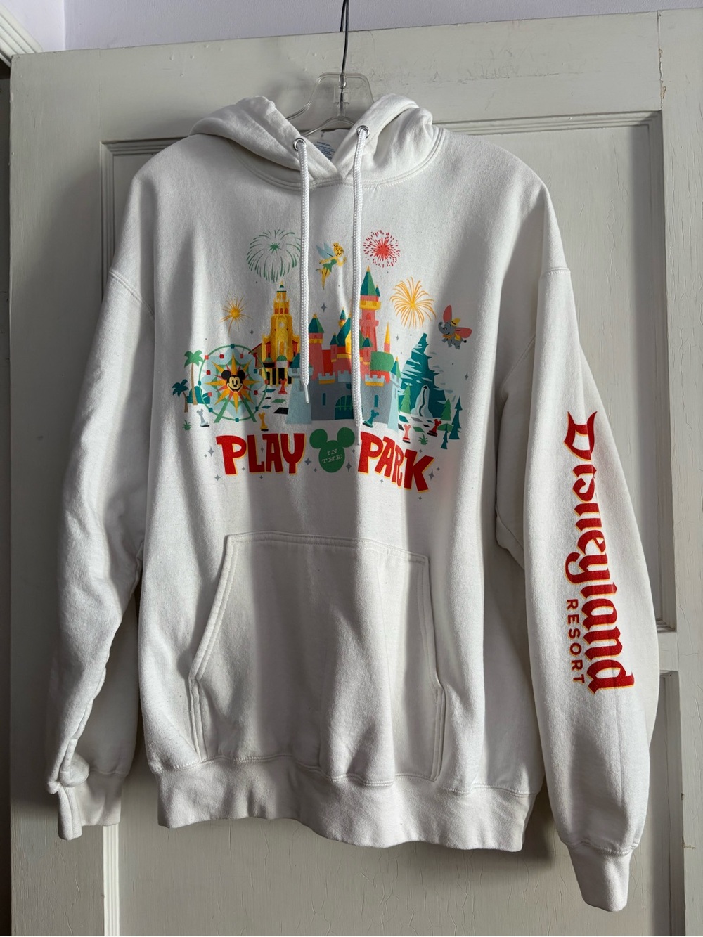 Disney Parks Disneyland Play in the Park Hoodie Large